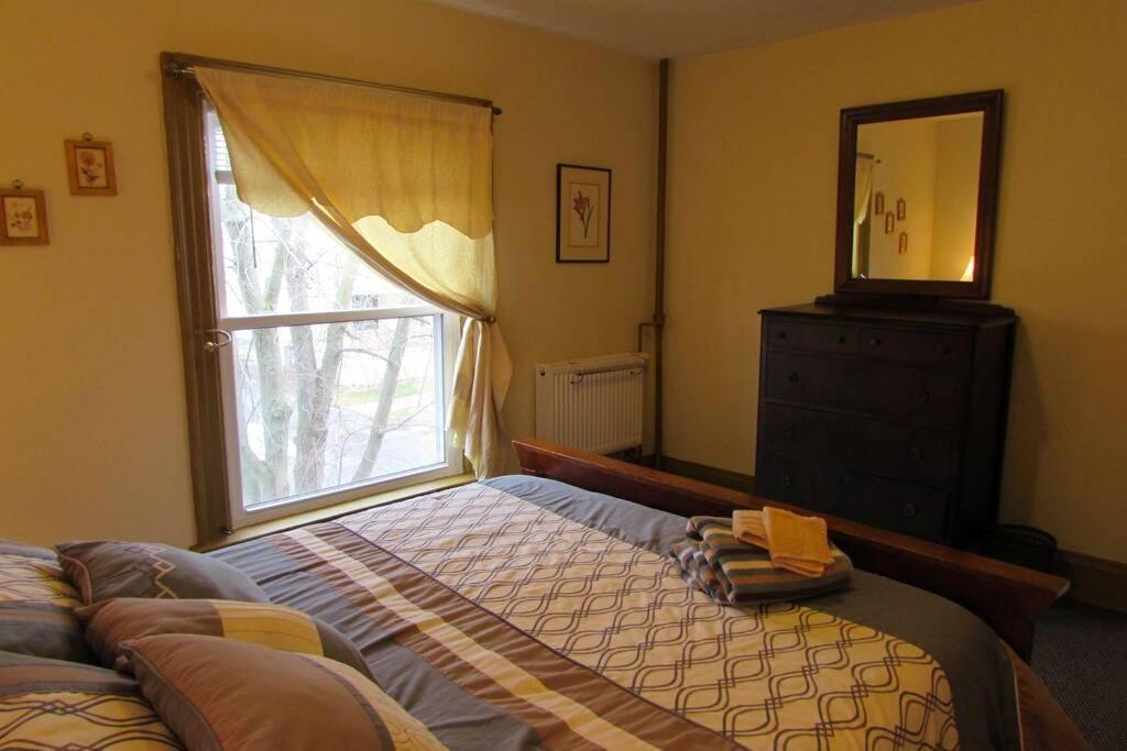 Great Gorge Guesthouse - Walk To The Falls, The Casino And All Downtown Restaurants - Across From The Aquarium Niagara Falls Luaran gambar